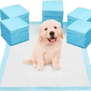 Puppy Training Pee Pads 60x90 cm Quick Dry Potty Training Mats Pack of 10