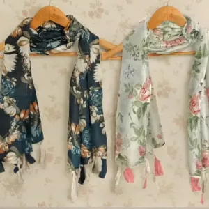 Printed Chiffon Stoles – Pack of 2 Stylish Scarves