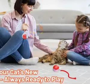 Smart Automatic Self Moving Cat Toy Ball Electric Interactive Rolling Pet Toy with USB Charging for Cats and Small Dogs ( default, OS )