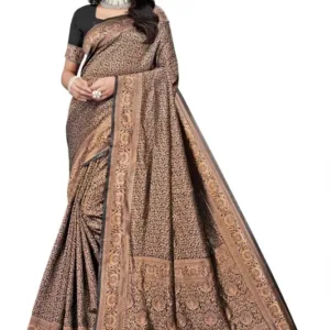 Banarasi Silk Saree  The Majestic Black & Gold Edition